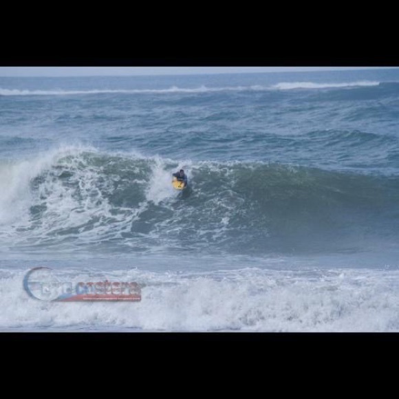 Meet your Posher, Oswald - Picture 10 of 15